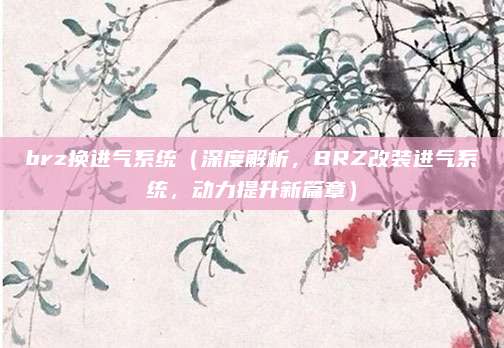 brz换进气系统（深度解析，BRZ改装进气系统，动力提升新篇章）
