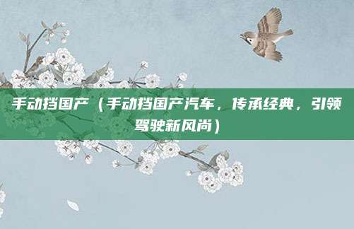 手动挡国产(手动挡国产汽车,传承经典,引领驾驶新风尚)