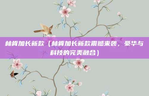 林肯加长新款(林肯加长新款震撼来袭,豪华与科技的完美融合)