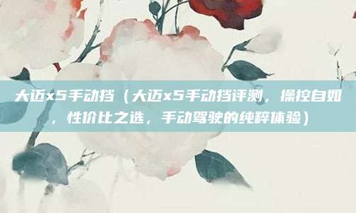 大迈x5手动挡(大迈x5手动挡评测,操控自如,性价比之选,手动驾驶的纯粹体验)