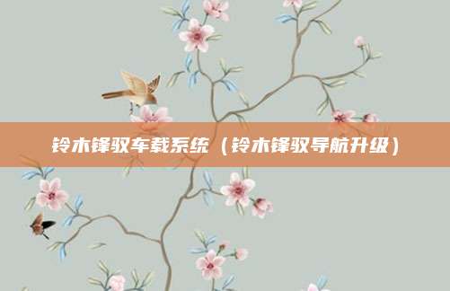 铃木锋驭车载系统(铃木锋驭导航升级)