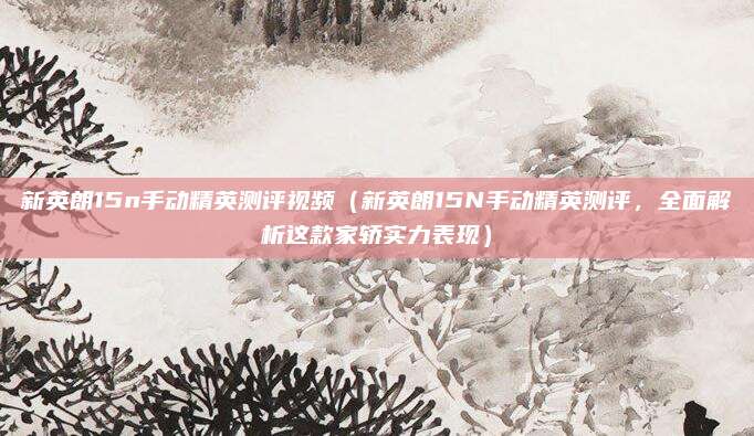 新英朗15n手动精英测评视频（新英朗15N手动精英测评，全面解析这款家轿实力表现）