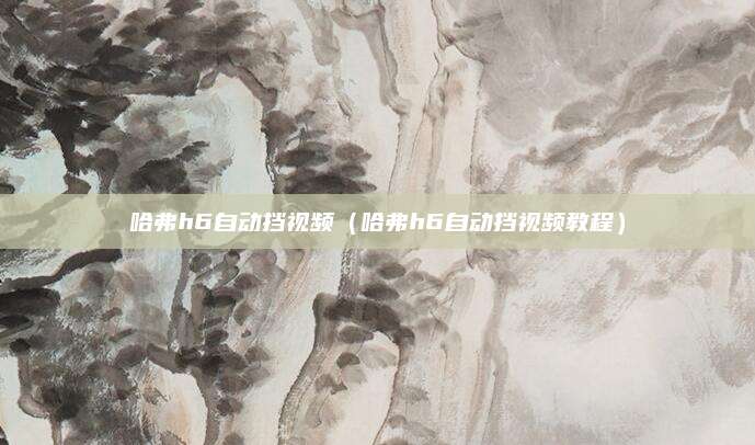 哈弗h6自动挡视频(哈弗h6自动挡视频教程)