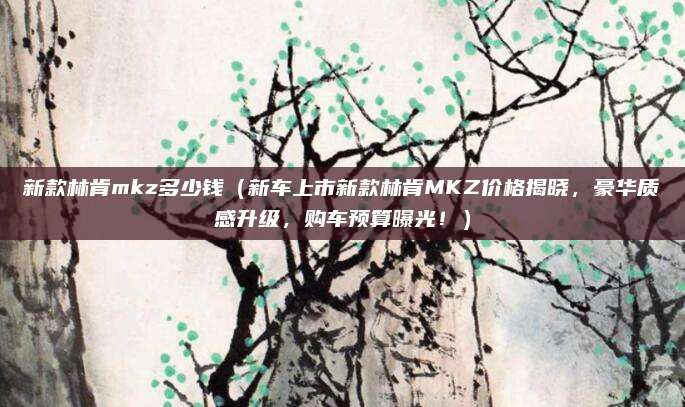 新款林肯mkz多少钱(新车上市新款林肯MKZ价格揭晓,豪华质感升级,购车预算曝光!)