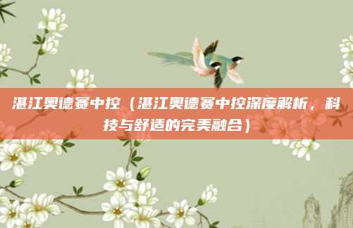 湛江奥德赛中控(湛江奥德赛中控深度解析,科技与舒适的完美融合)