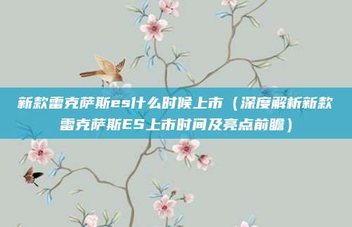 新款雷克萨斯es什么时候上市(深度解析新款雷克萨斯ES上市时间及亮点前瞻)