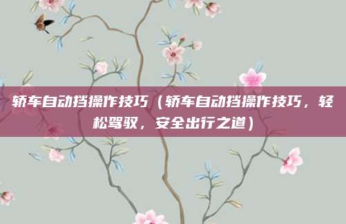 轿车自动挡操作技巧(轿车自动挡操作技巧,轻松驾驭,安全出行之道)