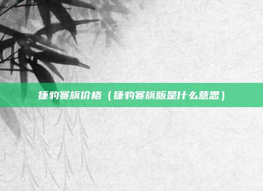 捷豹赛旗价格(捷豹赛旗版是什么意思)