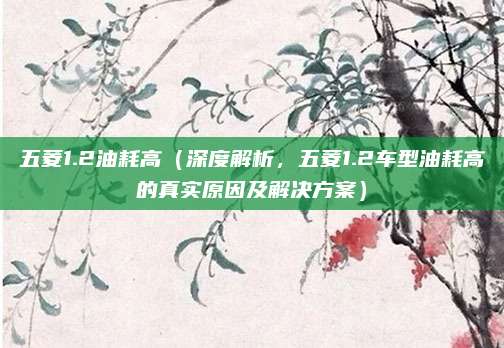 五菱1.2油耗高(深度解析,五菱1.2车型油耗高的真实原因及解决方案)