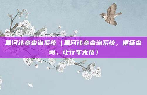 黑河违章查询系统（黑河违章查询系统，便捷查询，让行车无忧）