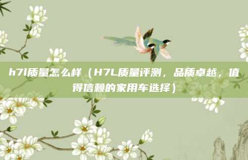 h7l质量怎么样(H7L质量评测,品质卓越,值得信赖的家用车选择)
