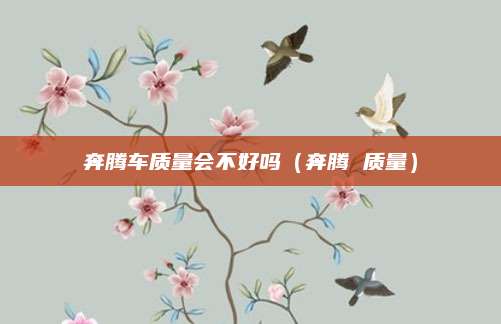 奔腾车质量会不好吗(奔腾 质量)