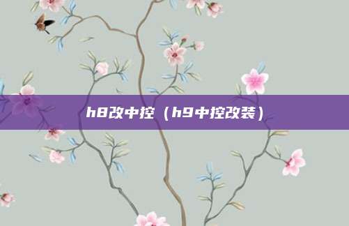 h8改中控(h9中控改装)