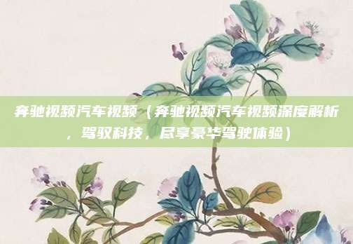 奔驰视频汽车视频（奔驰视频汽车视频深度解析，驾驭科技，尽享豪华驾驶体验）