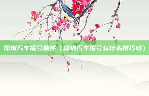 深圳汽车摇号条件(深圳汽车摇号有什么技巧吗)