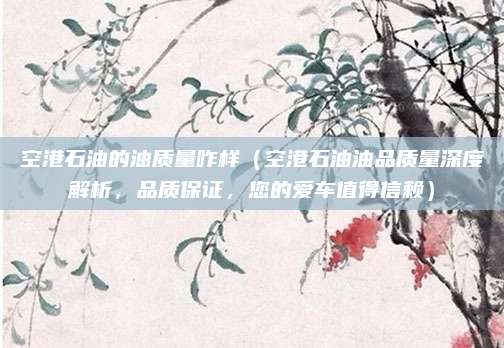 空港石油的油质量咋样(空港石油油品质量深度解析,品质保证,您的爱车值得信赖)