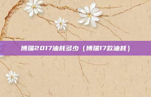 博瑞2017油耗多少(博瑞17款油耗)