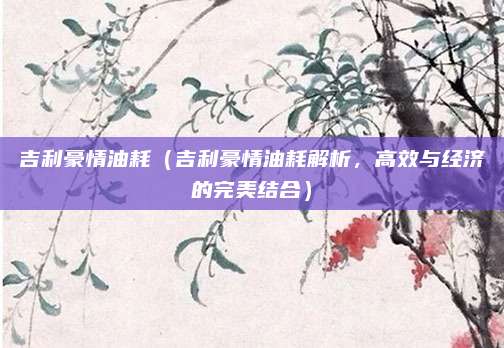 吉利豪情油耗(吉利豪情油耗解析,高效与经济的完美结合)