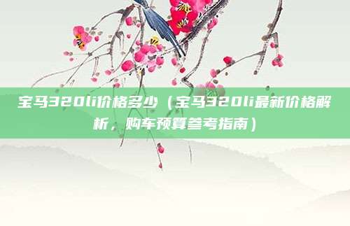 宝马320li价格多少(宝马320li最新价格解析,购车预算参考指南)