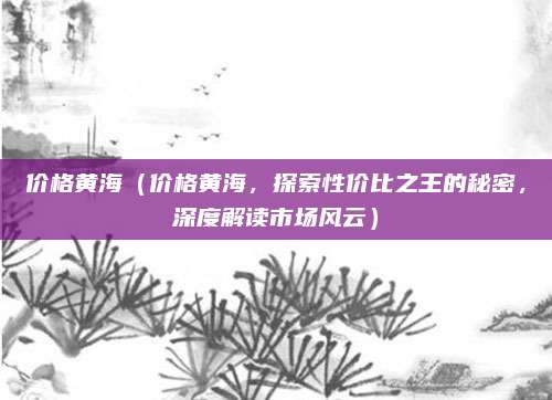 价格黄海(价格黄海,探索性价比之王的秘密,深度解读市场风云)