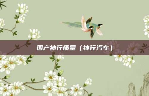 国产神行质量(神行汽车)