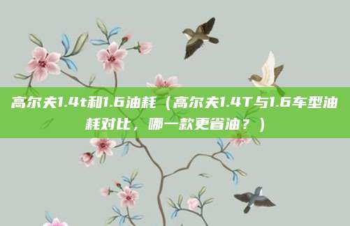 高尔夫1.4t和1.6油耗（高尔夫1.4T与1.6车型油耗对比，哪一款更省油？）