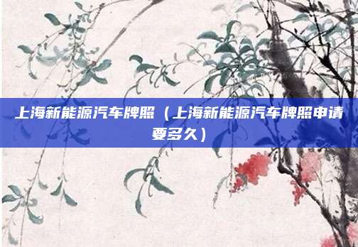 上海新能源汽车牌照(上海新能源汽车牌照申请要多久)