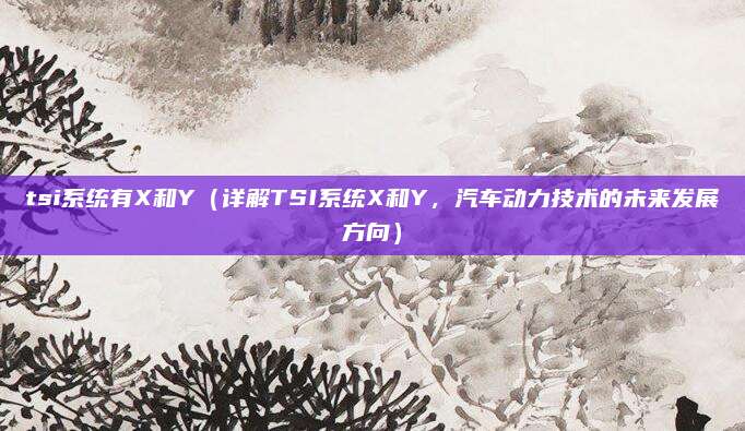 tsi系统有X和Y（详解TSI系统X和Y，汽车动力技术的未来发展方向）