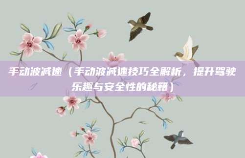 手动波减速（手动波减速技巧全解析，提升驾驶乐趣与安全性的秘籍）
