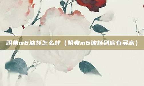 哈弗m6油耗怎么样（哈弗m6油耗到底有多高）