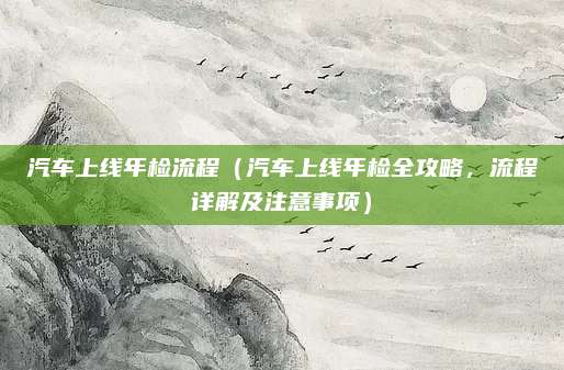 汽车上线年检流程（汽车上线年检全攻略，流程详解及注意事项）