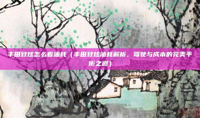 丰田致炫怎么看油耗(丰田致炫油耗解析,驾驶与成本的完美平衡之道)