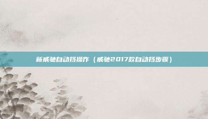 新威驰自动挡操作（威驰2017款自动挡步骤）