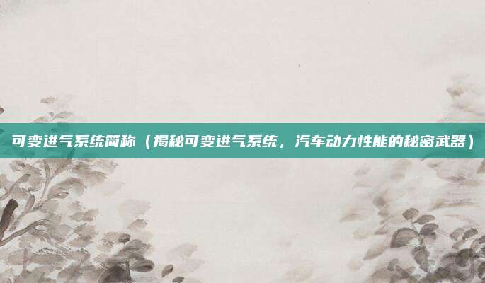 可变进气系统简称(揭秘可变进气系统,汽车动力性能的秘密武器)