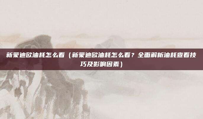 新蒙迪欧油耗怎么看（新蒙迪欧油耗怎么看？全面解析油耗查看技巧及影响因素）
