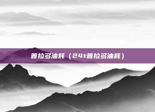 普拉多油耗(24t普拉多油耗)