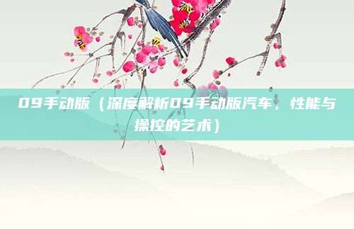 09手动版（深度解析09手动版汽车，性能与操控的艺术）