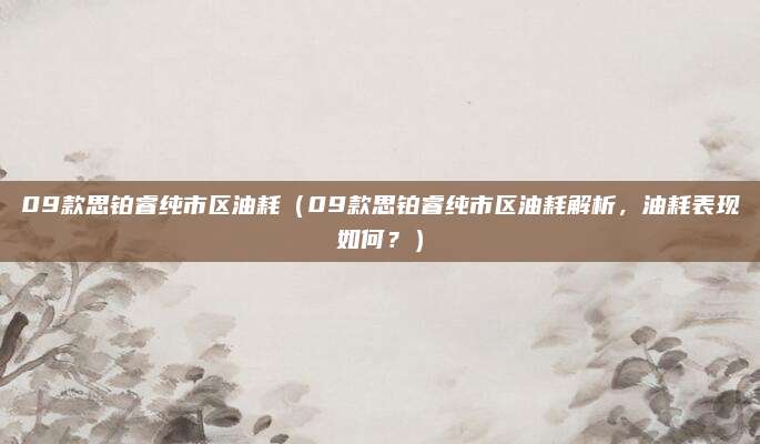 09款思铂睿纯市区油耗(09款思铂睿纯市区油耗解析,油耗表现如何?)