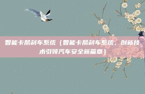 智能卡帮刹车系统(智能卡帮刹车系统,创新技术引领汽车安全新篇章)