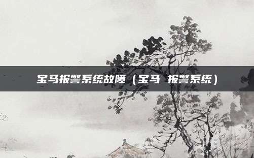 宝马报警系统故障（宝马 报警系统）