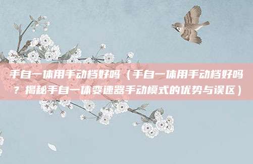 手自一体用手动档好吗(手自一体用手动档好吗?揭秘手自一体变速器手动模式的优势与误区)