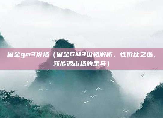 国金gm3价格(国金GM3价格解析,性价比之选,新能源市场的黑马)