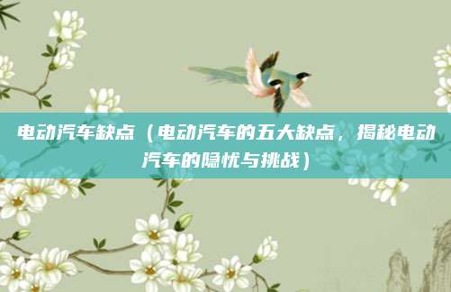 电动汽车缺点(电动汽车的五大缺点,揭秘电动汽车的隐忧与挑战)