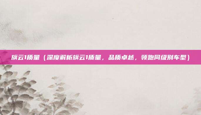 旗云1质量(深度解析旗云1质量,品质卓越,领跑同级别车型)