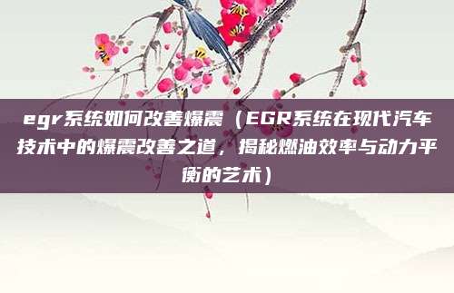 egr系统如何改善爆震(EGR系统在现代汽车技术中的爆震改善之道,揭秘燃油效率与动力平衡的艺术)
