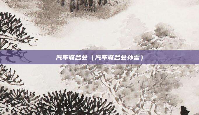 汽车联合会(汽车联合会孙雷)