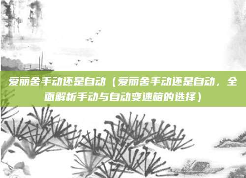 爱丽舍手动还是自动(爱丽舍手动还是自动,全面解析手动与自动变速箱的选择)