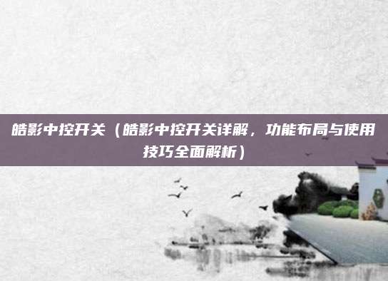 皓影中控开关（皓影中控开关详解，功能布局与使用技巧全面解析）