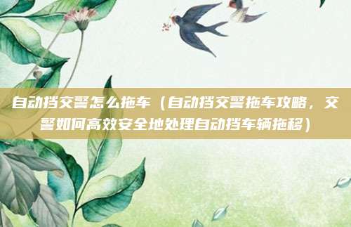 自动挡交警怎么拖车（自动挡交警拖车攻略，交警如何高效安全地处理自动挡车辆拖移）