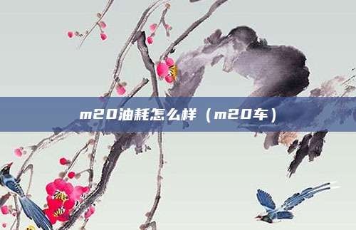 m20油耗怎么样(m20车)